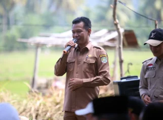 Dinas Pertanian Kaur Tingkatkan Pengawasan Penyaluran Pupuk Subsidi demi Ketahanan Pangan