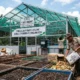 DLH Way Kanan Optimalkan Rumah Maggot: Langkah Strategis Hadapi Krisis Sampah Organik