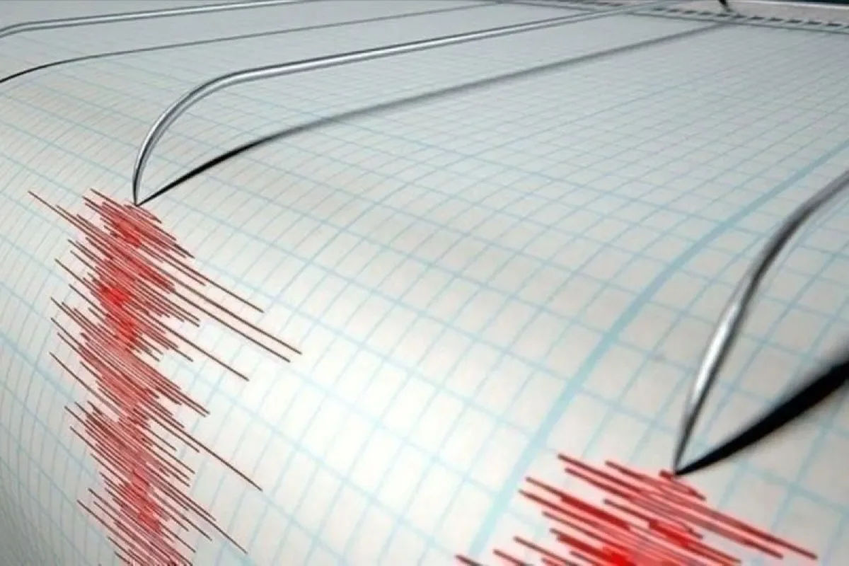 Gempa Magnitudo 3,4 Guncang Sorong, Papua Barat: Analisis Dampak dan Respons Lokal