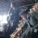 Gubernur Sumsel Dorong Industri Lokal lewat Pabrik Tapioka, Upaya Hilirisasi Komoditas Ubi Kayu