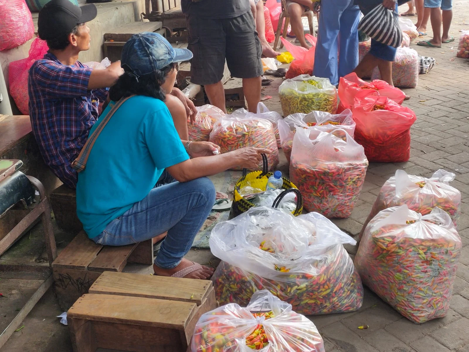 Harga Cabai Rawit di Pasar Induk Pare Naik, Dampak pada Konsumen dan Industri