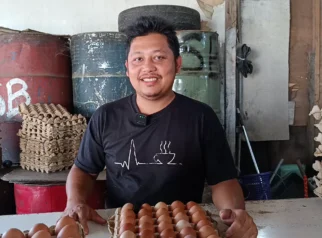 Harga Telur Ayam Ras di Meulaboh Turun Rp7 Ribu per Papan, Dampak pada Konsumen dan Pasar