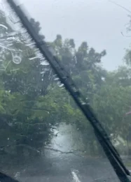 Hujan Deras Guyur Riau, BMKG Catat 14 Titik Panas: Ancaman Kebakaran Hutan dan Dampak Terhadap Masyarakat