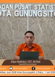 Inflasi Kota Gunungsitoli Mencapai 6,25 Persen di Juni 2026: Analisis Penyebab dan Dampaknya