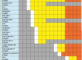 Jadwal Indonesia Padat: Imunisasi Ibu Hamil, Sepak Bola, hingga Pelayaran di Agustus 2026