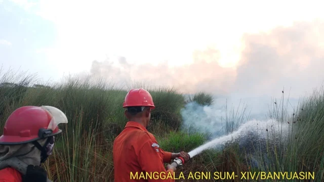 Karhutla di Desa Lorok Ogan Ilir Berhasil Dipadamkan setelah Dua Hari Berjibaku