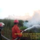 Karhutla di Desa Lorok Ogan Ilir Berhasil Dipadamkan setelah Dua Hari Berjibaku