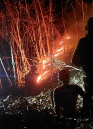 Kebakaran Hutan Hanguskan Dua Hektare Lahan Lumajang: Analisis Dampak dan Tantangan Penanganan