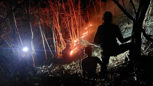 Kebakaran Hutan Hanguskan Dua Hektare Lahan Lumajang: Analisis Dampak dan Tantangan Penanganan