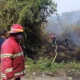 Kebakaran Lahan 0,5 Hektare di Meureubo: Kronologi, Penanganan, dan Dampaknya