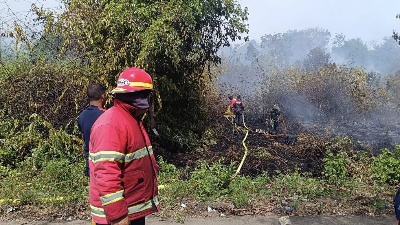 Kebakaran Lahan 0,5 Hektare di Meureubo: Kronologi, Penanganan, dan Dampaknya
