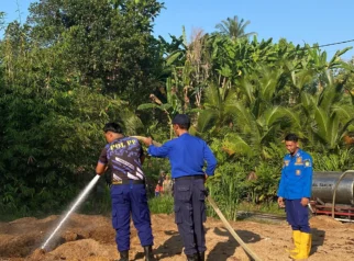 Kebakaran Lahan di Batu Agung Diduga Dipicu Bara Api Pencari Tawon