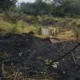 Kebakaran Lahan Seluas Satu Hektare di Timang Gajah Dipadamkan: Kronologi, Dampak, dan Langkah Pencegahan