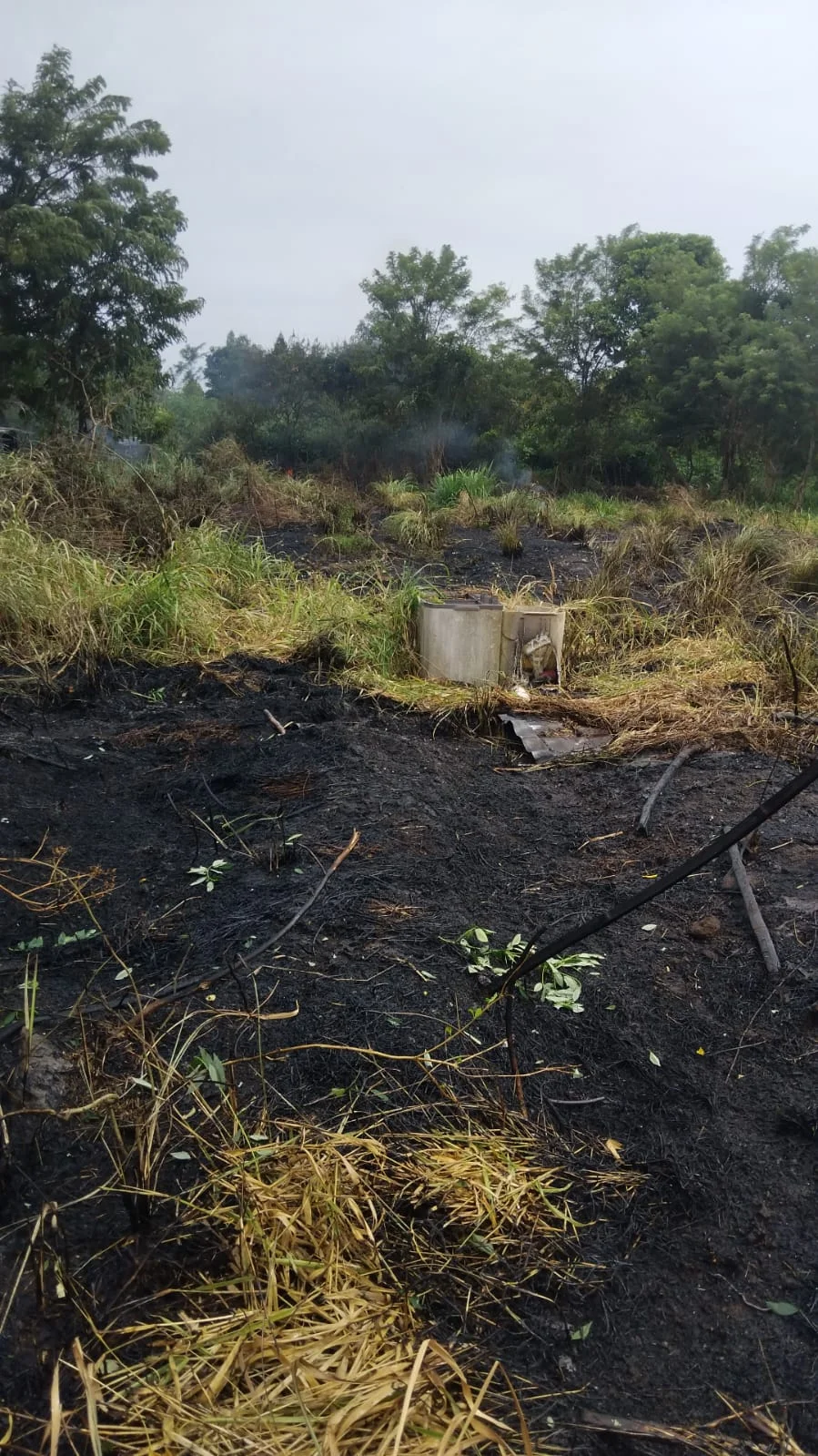 Kebakaran Lahan Seluas Satu Hektare di Timang Gajah Dipadamkan: Kronologi, Dampak, dan Langkah Pencegahan