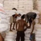 Kelangkaan dan Harga Melonjak, Petani Kelapa Sawit Aceh Singkil Desak Pemerintah Perbaiki Pasokan Pupuk Bersubsidi