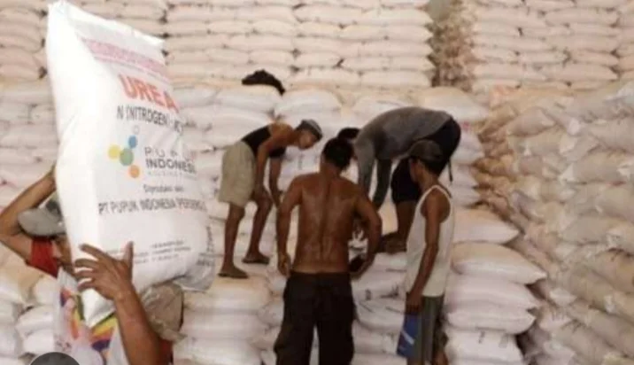 Kelangkaan dan Harga Melonjak, Petani Kelapa Sawit Aceh Singkil Desak Pemerintah Perbaiki Pasokan Pupuk Bersubsidi