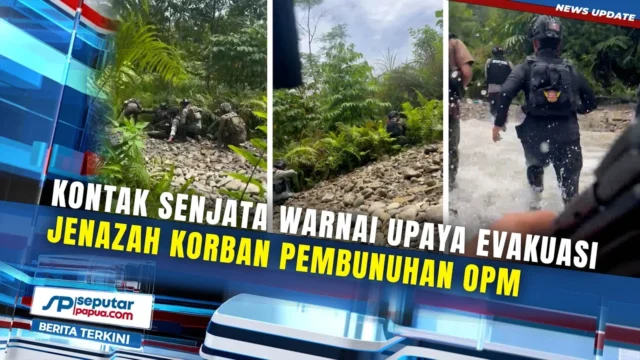 Kontak Tembak Warnai Evakuasi Jenazah Korban OPM di Yahukimo, KemenHAM Kecam Keras
