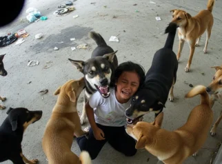 Kontroversi Peternakan Anjing dan Kisah di Baliknya: Sebuah Refleksi tentang Budaya dan Persepsi
