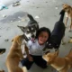 Kontroversi Peternakan Anjing dan Kisah di Baliknya: Sebuah Refleksi tentang Budaya dan Persepsi