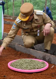 Kopi Humbahas: Andalan Petani dan Motor Ekonomi Daerah