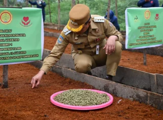 Kopi Humbahas: Andalan Petani dan Motor Ekonomi Daerah