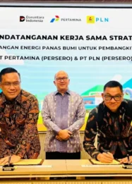 Krisis Transparansi dan Ekspansi Proyek: Perusahaan Listrik Negara di Persimpangan Jalan