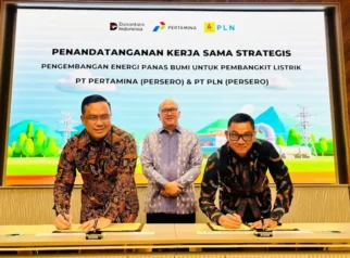 Krisis Transparansi dan Ekspansi Proyek: Perusahaan Listrik Negara di Persimpangan Jalan