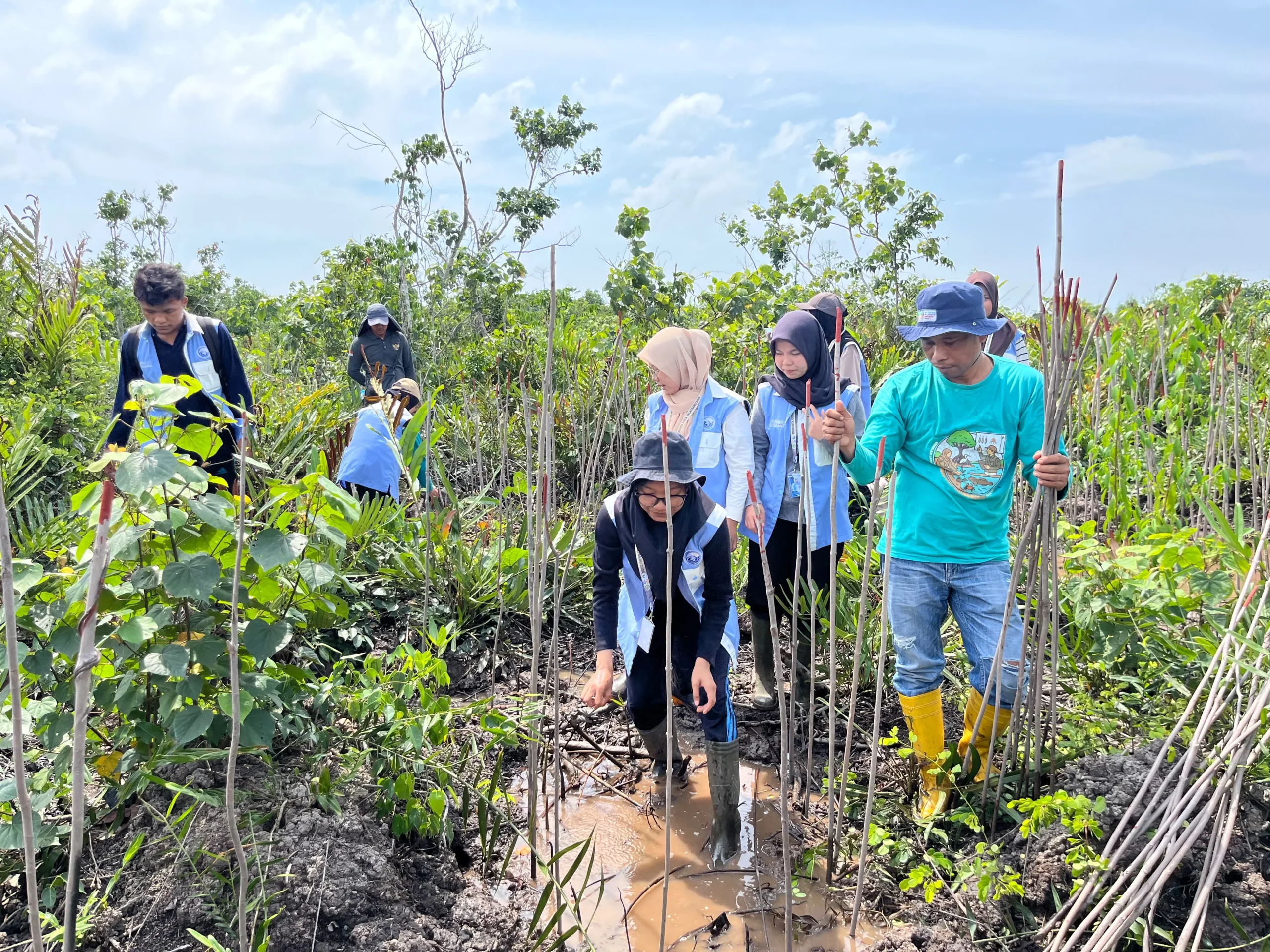 Kukerta UNRI dan Kolaborasi Masyarakat di Selatbaru: Menanam Mangrove untuk Menjaga Pulau Bengkalis dari Abrasi