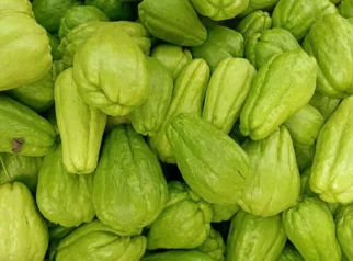Labu Siam: Sayuran Lokal yang Kaya Nutrisi dan Manfaat Kesehatan