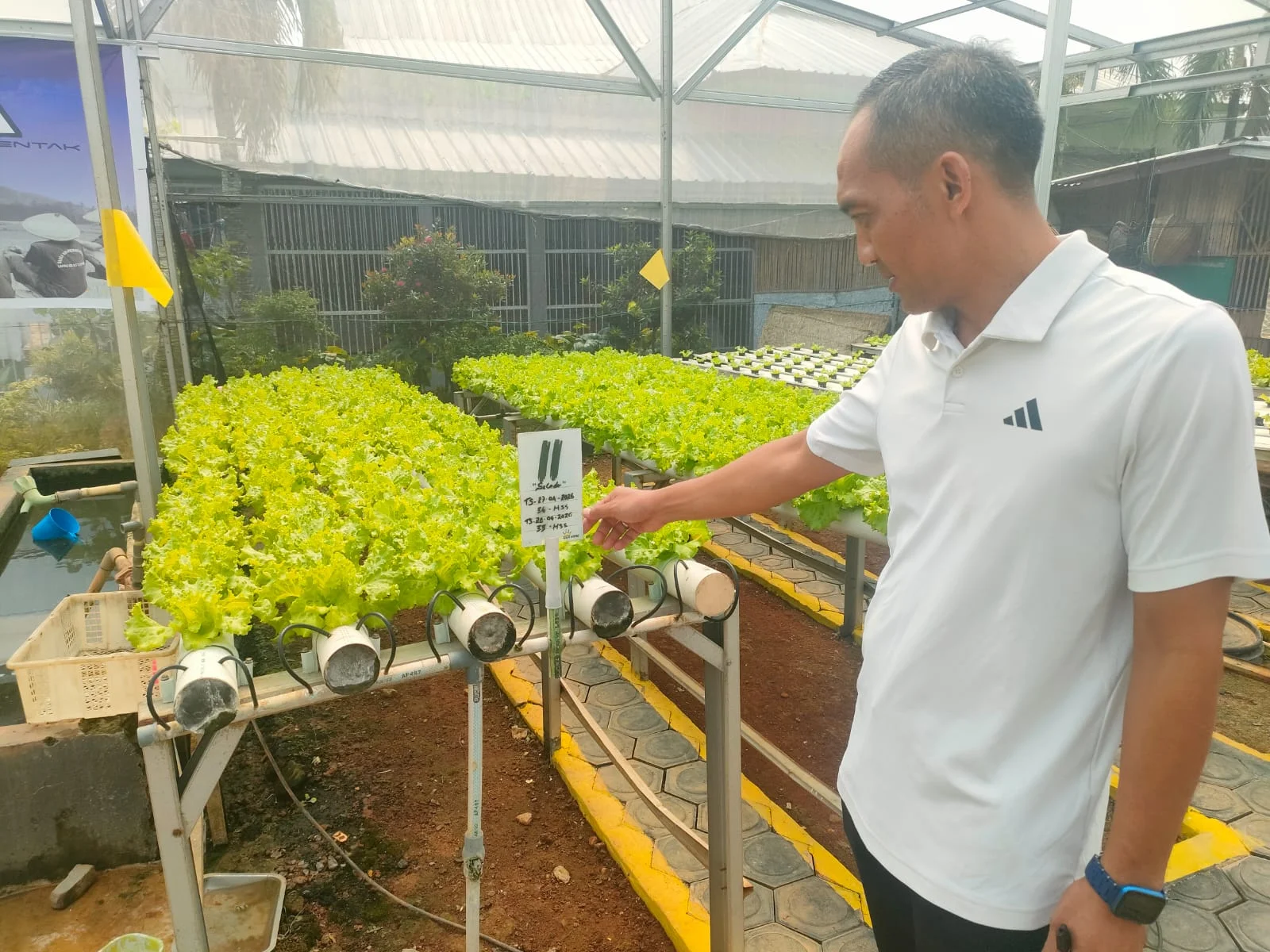 Lapas Kelas I Bandar Lampung Produksi Sayuran Hidroponik 25 Kilogram per Hari: Inovasi Pembinaan dan Kontribusi Ekonomi Lokal