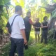 Lima Ekor Babi Gerokgak Hilang, Polisi Gali Kasus Pencurian