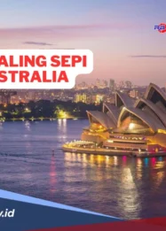 Live Sydney: Dari Sidang AFL hingga Konser Perpisahan, Kota Ini Tak Pernah Sepi