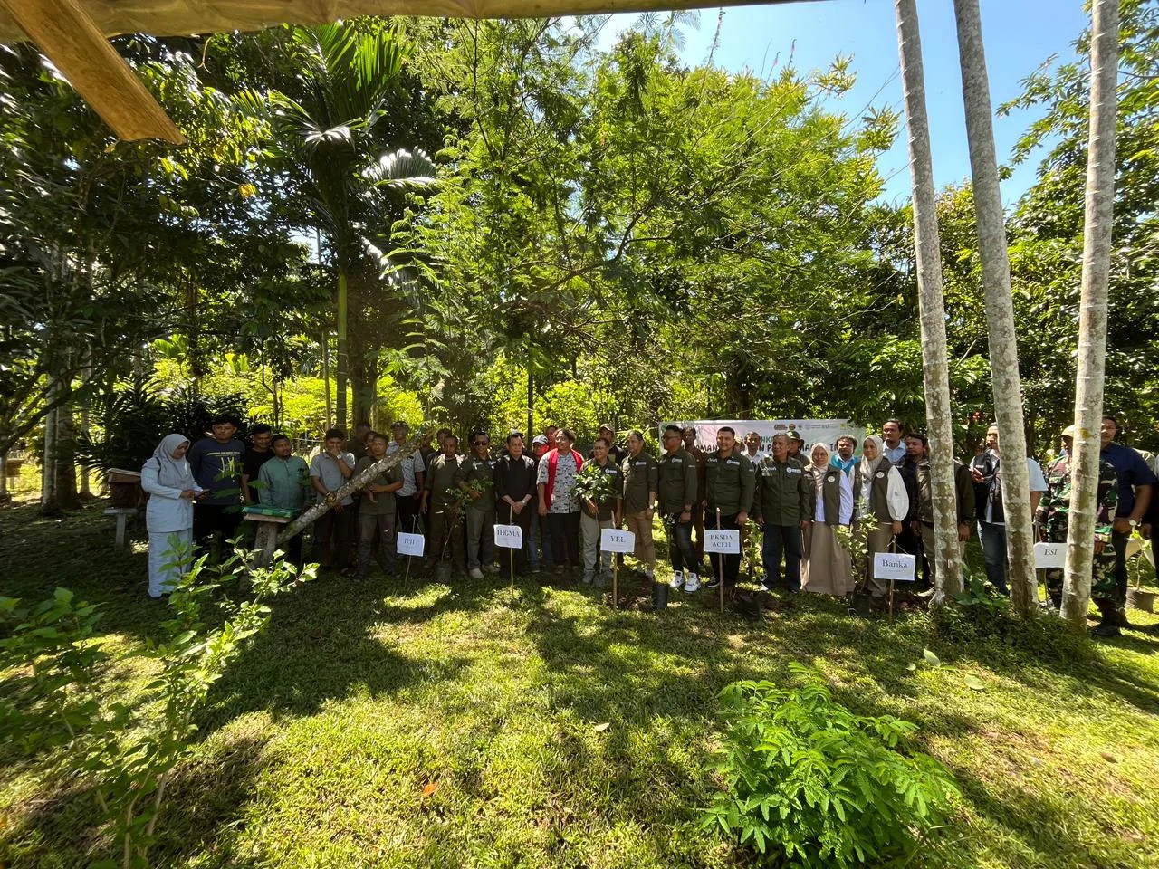 Madu Trigona: Kunci Konservasi Alam dan Ekonomi di Jantho