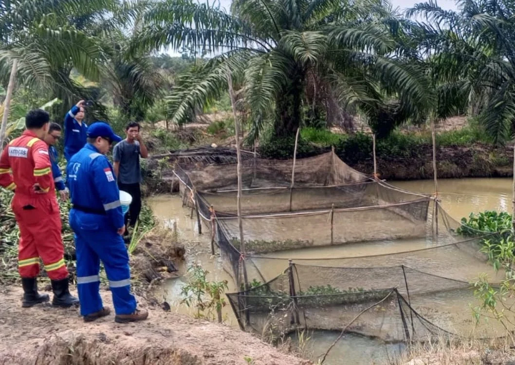 Medco EP Kembangkan Budidaya Lele di Musi Banyuasin, Dorong Ekonomi Warga Muba