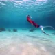 Mengenal Freedive di Laut Indonesia: Kisah Perjalanan Karenina Menyelam Lebih Dalam