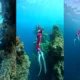 Menjangan Cave: Jantung Bawah Laut yang Menjadi Ikon Freediving Nasional