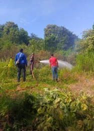 Musim Kemarau Picu Lonjakan Kebakaran Lahan di Magetan