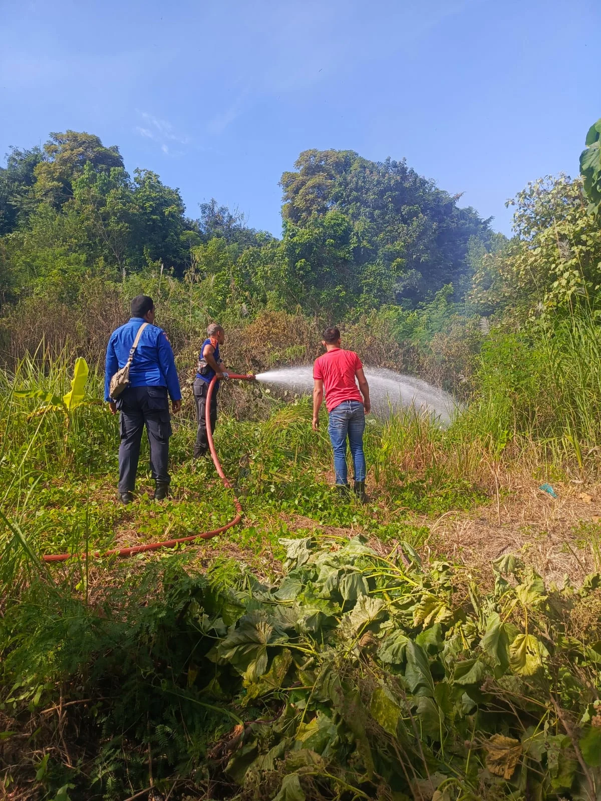 Musim Kemarau Picu Lonjakan Kebakaran Lahan di Magetan