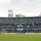Palmeiras Líder: Vitória sobre o Coritiba Marca Melhor Primeiro Turno da História