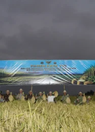 Panen Raya Bersama TNI Dorong Swasembada Pangan Nasional di Bali