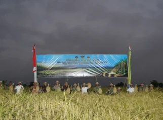 Panen Raya Bersama TNI Dorong Swasembada Pangan Nasional di Bali