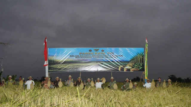 Panen Raya Bersama TNI Dorong Swasembada Pangan Nasional di Bali