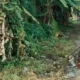 Pemkot Pekanbaru Perketat Aturan Buang Sampah: LPS Diminta Tingkatkan Pengawasan