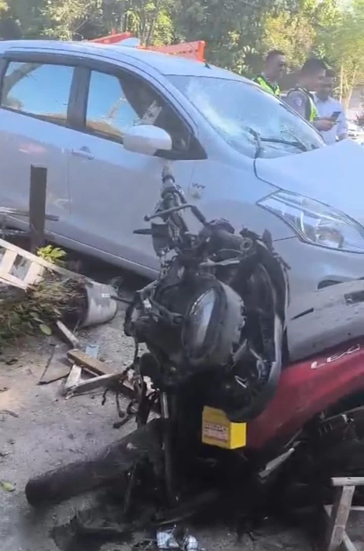 Pengendara Meninggal Usai Mobil Hindari Kucing, Analisis Kecelakaan di Bondowoso