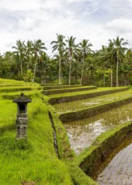 Perda Bali No.4/2026 Perketat Alih Fungsi Lahan, Lindungi Ekosistem Subak dan Kedaulatan Pangan