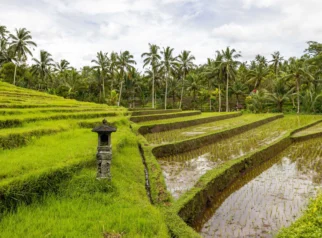 Perda Bali No.4/2026 Perketat Alih Fungsi Lahan, Lindungi Ekosistem Subak dan Kedaulatan Pangan