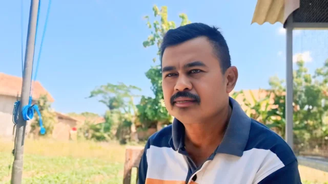 Petani Torjun Tanam 40 Ribu Batang Tembakau, Optimistis Panen Berkualitas di Musim Kemarau