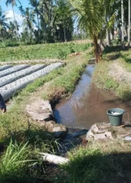 PMI Jember Lakukan Asesmen Wilayah Rawan Kekeringan di Musim Kemarau 2026