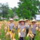 Polres Bintan Panen 200 Kg Jagung, Langkah Konkret Dorong Ketahanan Pangan Nasional