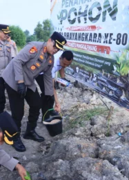Polresta Pangkalpinang Rayakan Hari Bhayangkara dengan Penanaman Ratusan Bibit Mangrove untuk Masa Depan Berkelanjutan